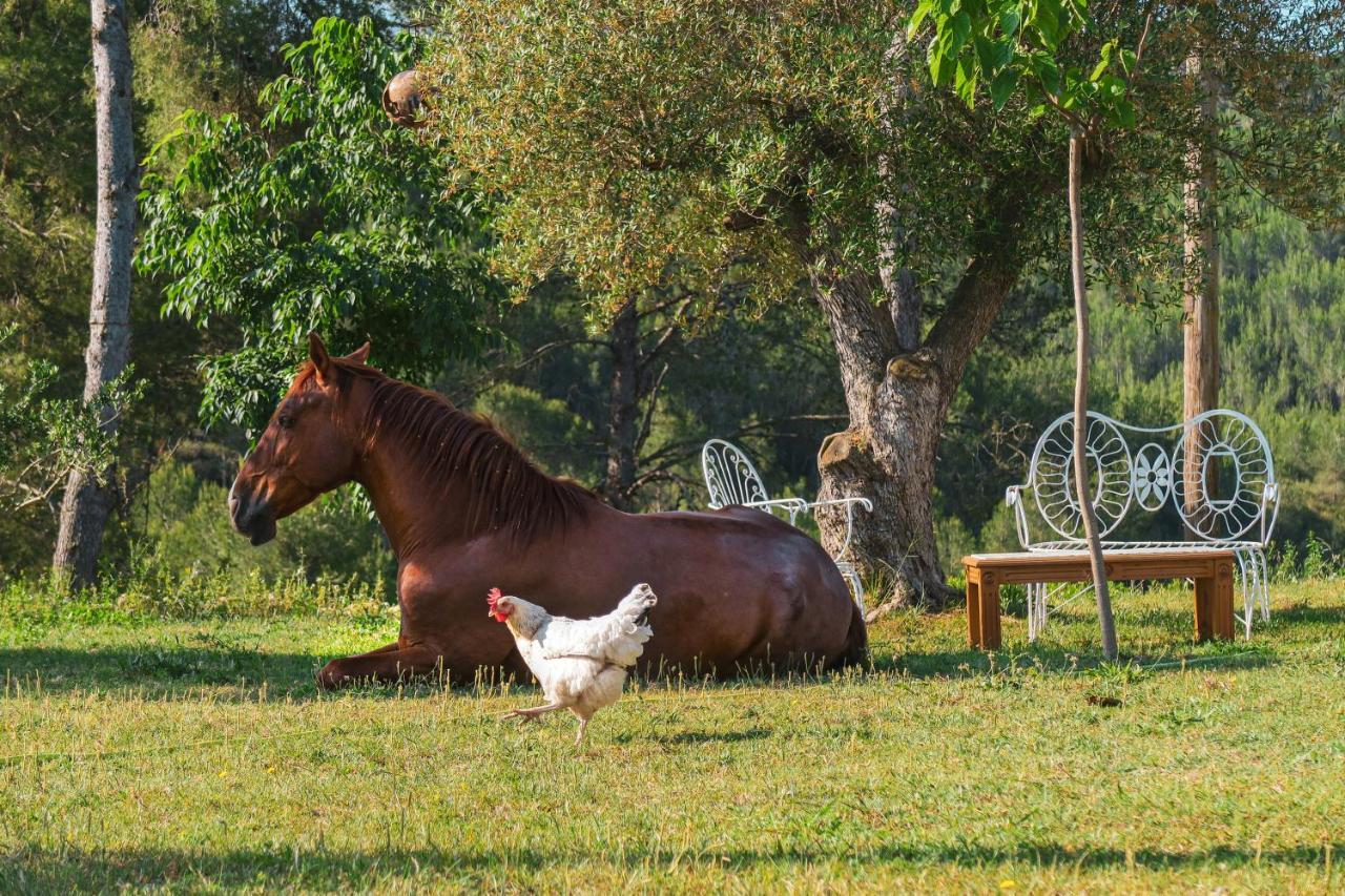 Masia Pou De La Vinya Σίτζες Εξωτερικό φωτογραφία